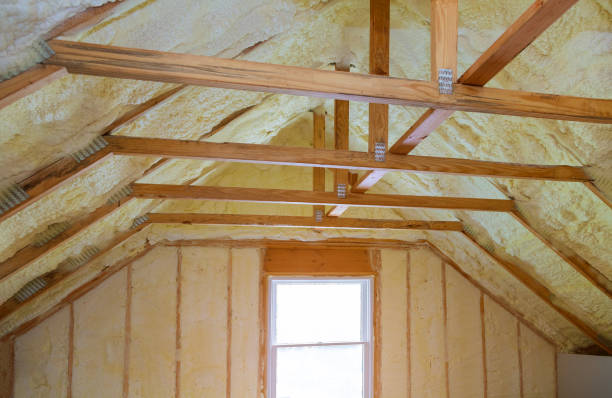 Best Insulation Installation Cost  in Ben Wheeler, TX