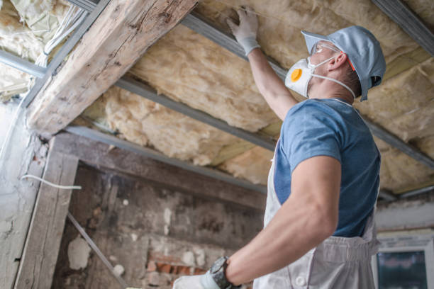 Best Insulation Replacement Services  in Ben Wheeler, TX