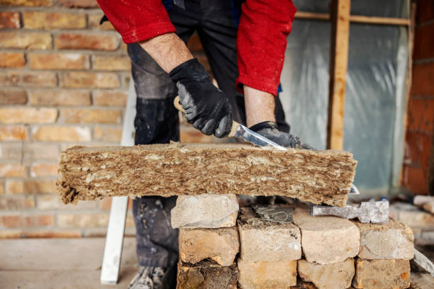 Best Spray Foam Insulation  in Ben Wheeler, TX
