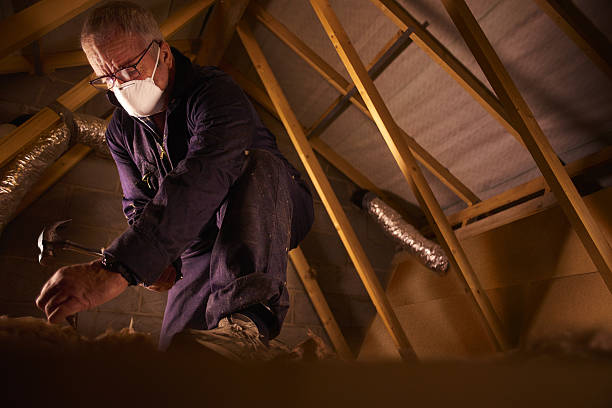 Best Attic Insulation Installation  in Ben Wheeler, TX